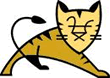 ApacheʦTomcatģ飬ֿ֧JSPվ